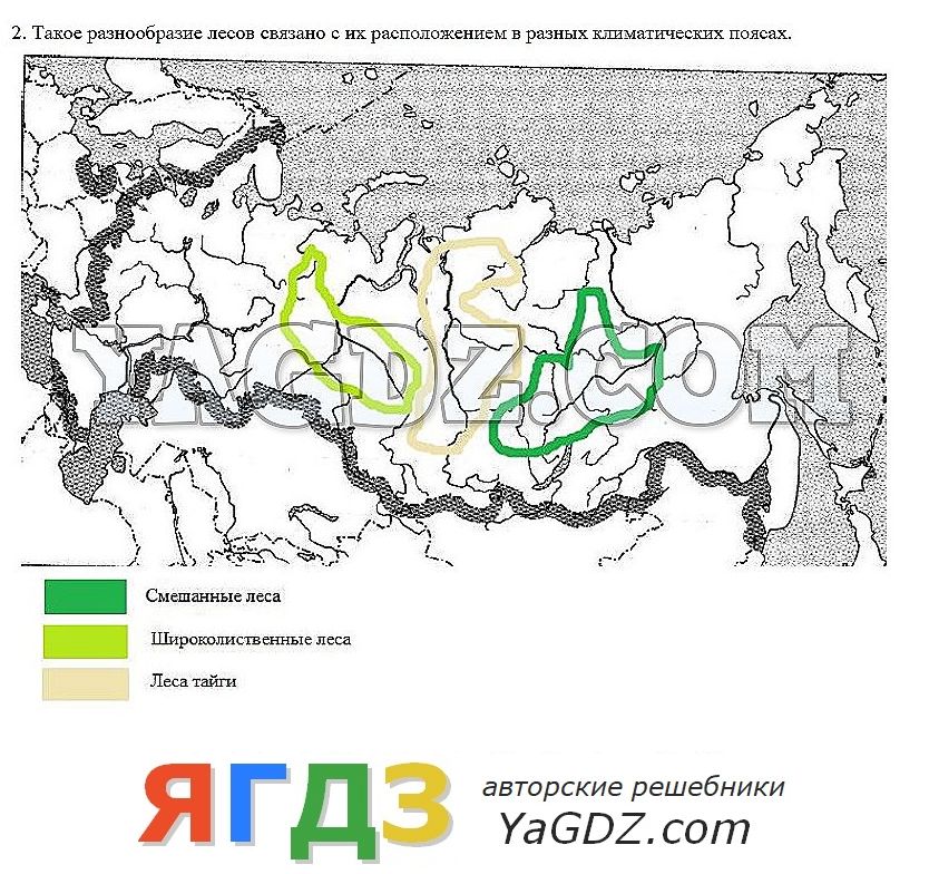 География 8 класс презентация таежная зона